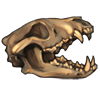 African Wild Dog Skull