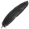 Black Heron Feather