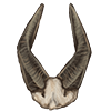 Bushbuck Horns