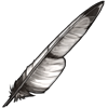 White Eagle Feather