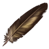 Egyptian Goose Feather