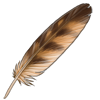 Cape Eagle Owl Feather