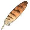Pel's Fishing Owl Feather