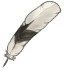 Hornbill Feather