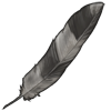 Secretary Bird Feather