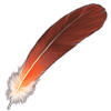 Grey Crowned Crane Feather