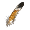 Hoopoe Feather
