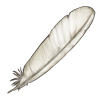 Little Egret Feather