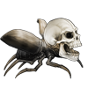 Event Beetle: Homunculus