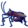 Beetle Nemesis: Anoplocnemis curvipes [Pearlescent]