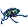 Beetle: Calidea dregii [Blue]