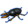 Beetle: Colophon primosi [Yellow]
