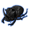 Beetle: Copris dracunculus [Black]