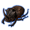 Beetle: Copris dracunculus [Brown]