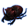Beetle: Copris dracunculus [Red]