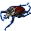 Beetle: Goliathus goliatus [Dark Red]