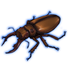 Beetle: Homoderus gladiator [Brown]