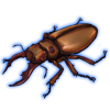 Beetle: Homoderus gladiator [Orange]
