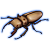 Beetle: Homoderus mellyi [Cream]