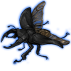 Beetle: Mesotopus regius [Black Matte]