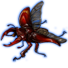 Beetle: Mesotopus regius [Red]