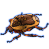 Beetle: Pachnoda fissipunctum [Brown]