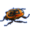 Beetle: Pachnoda fissipunctum [Orange]