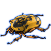 Beetle: Pachnoda fissipunctum [Yellow]