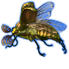 Beetle: Polyphylla fullo [Royal]