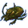 Beetle: Proagoderus rangifer [Green]