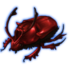 Beetle: Proagoderus rangifer [Red]