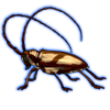 Beetle: Prosopocera lactator [Brown]