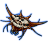 Beetle Nemesis: Gasteracantha versicolor [White]