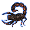 Beetle Nemesis: Parabuthus transvaalicus [Dark]