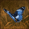 Blue Diadem Butterflies [2]