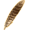 Nightjar Feather Decor