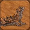 Saharan Spiny-Tailed Lizard