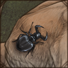 Manticora Beetles