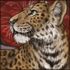 [GE - Middle East] Persian Leopard