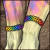 Lion Pride Braided Bracelets [Rainbow]
