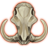 Warthog Skull Decor