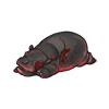 Hippo Calf Carcass