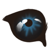 Eye Applicator: Drongo