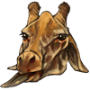 Giraffe Bundle