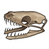 Snake Skull