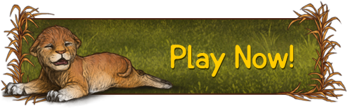 play-now.png