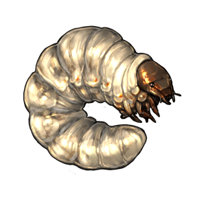larva.png