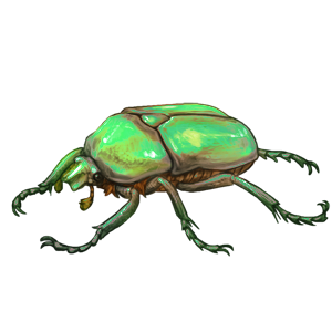 Viewing Beetle :|: Lioden