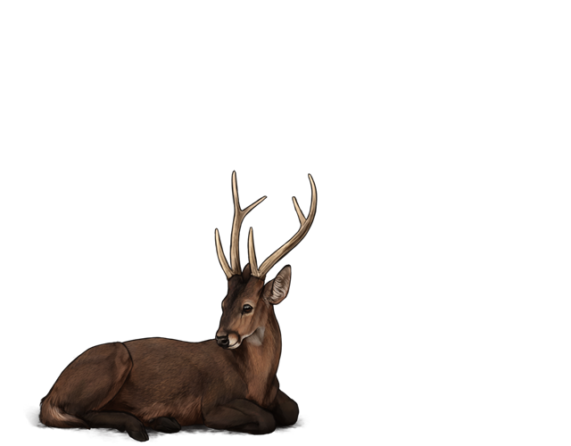 Decorative Image