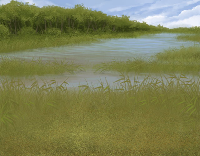 Marshlands_Day.png